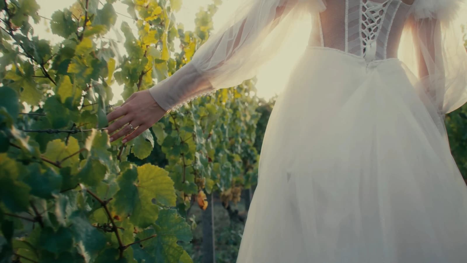 MYD wedding / svatby